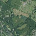 Man stung by bees falls and bleeds in park woods