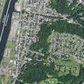 Person with head and arm injuries bleeding in Troy