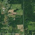 Man suffers allergic reaction to bee sting in Orchard Park