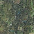 Tree blocking River Road at Gates Road intersection