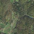 Injured dog reported on Brattleboro Road
