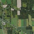 82-year-old woman with pain after fall at Frazier Road