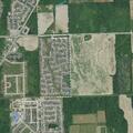 Loose golden retriever reported after attacking another dog