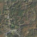 Police assist with tree hazard on Old Milford Road