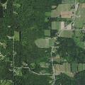 Car and deer collision on State Route 21