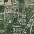 Loose dogs reported on Springwood Way