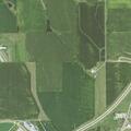Reckless tan car reported on Highway 151 near Belmont