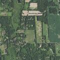 82-year-old female conscious and breathing at Williamston