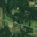 Elderly woman falls and injures elbow on Route 20A