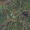 Car leaves roadway on Bare Hill Road in Groveland