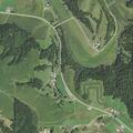Dead deer in roadway near County Road U