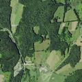 Tree blocking road with wires at County Highway 20