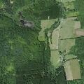 85-year-old male with head injury after fall