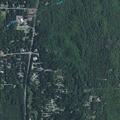 Elderly woman falls out of bed near Silver Springs Rd