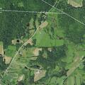 Tree blocking State Highway 51 roadway