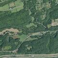 96-year-old female falls with leg pain in Duanesburg