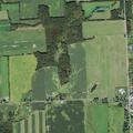 Elderly female struggling near Center Road in Cayuga area