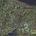 Person reported with altered condition near Main Street