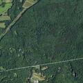 Deputy checks target shooters at state forest