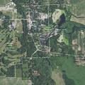 Dogs struck by vehicle on Silver Lake Road