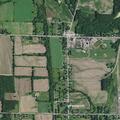 Animal complaint on Chandler Road in York