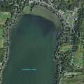 81-year-old woman with back pain in Tuxedo Park
