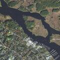 Search for woman in woods behind Ashland Street