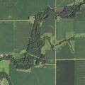 Female reported in ditch on Buchanan Ave under welfare check