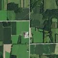 Elderly female needs help near Tazewell County line
