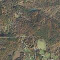 Man confused and dizzy near Lyndeborough Center Road