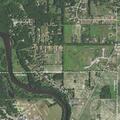Loose dogs reported near Boggs Flats plant