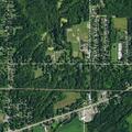 Elderly female falls without injury near Alden