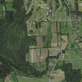 Woman in 20s with injured ankle on Brandon Road