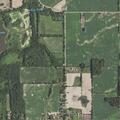 Verbal domestic dispute at South Dewitt Road home