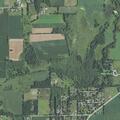80-year-old woman unable to speak near Pine Drive in Palmyra