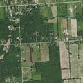 86-year-old female falls, needs assistance at home
