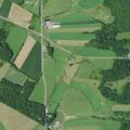 Cows loose on roadway create traffic hazard