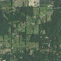 Chicken coop fire threatens nearby trees