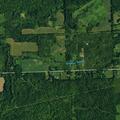 Low power lines and outage on Sumner Road