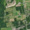 Person reported sick near Sycamore Street