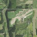 Cattle repeatedly entering neighbor’s cornfield