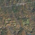 Large tree blocking Mountain Road in Lyndeborough