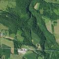 Three-day-old male showing seizure activity in Mohawk