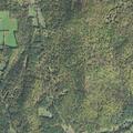 Brush fire at Timson Hill Road in Newfane