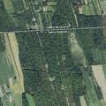 Tree blocking Laraway Road near Turnpike Road