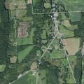 Elderly male allergic to bee sting near Pratt Road