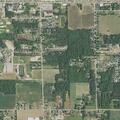 91-year-old male falls and has nosebleed at Red Oak Lane