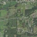 Ill deer reported in yard on Warren Farm Circle