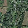 81-year-old woman found unresponsive at home