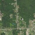 Person unconscious after bee sting at Lapeer Road